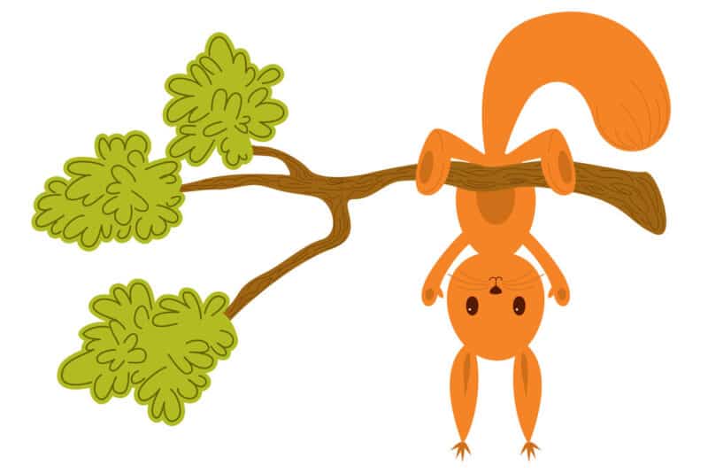 A Lesson for the Stubborn Squirrel