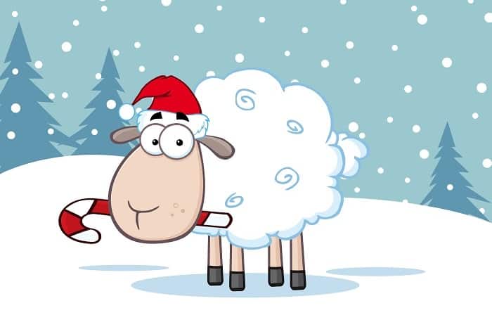 How-the-animals-raced-in-the-snow
