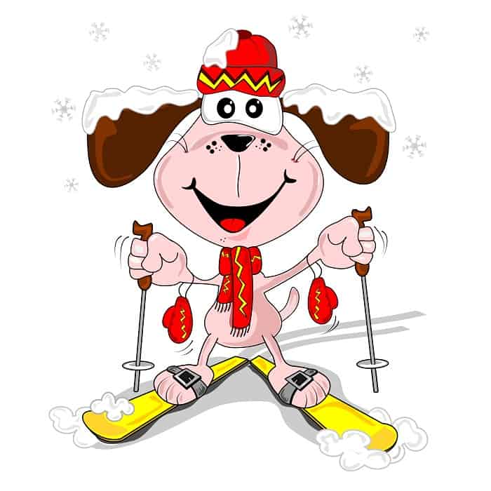 How-the-animals-raced-in-the-snow-dog