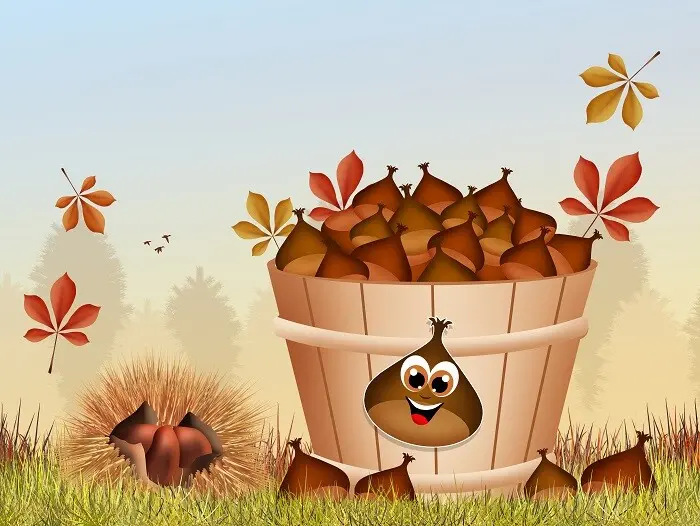 Lucky Chestnuts