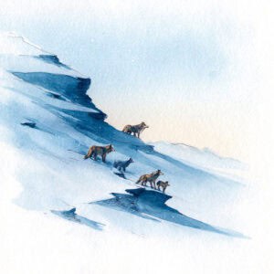 Tales for Reading - The wolf named Niko